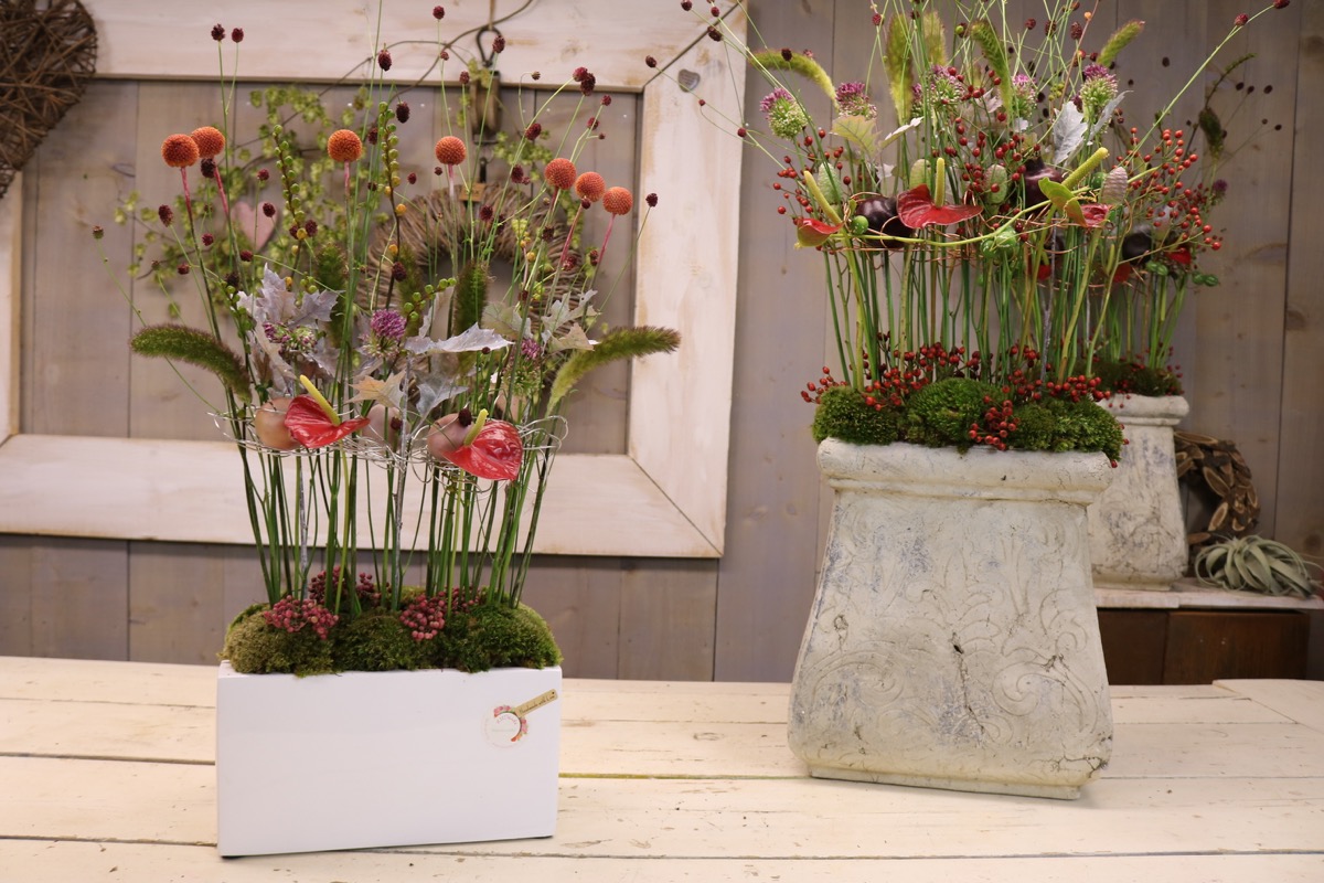 liliverde bloemstuk 2019sep1  0030