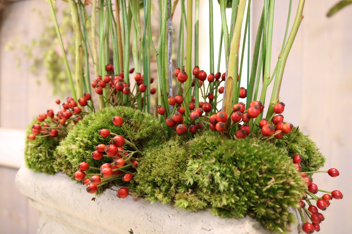 liliverde bloemstuk 2019sep1  0030